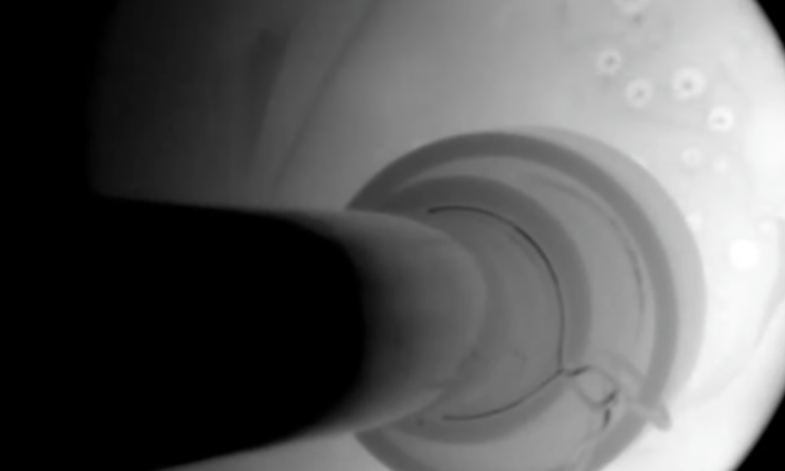 From Lunar Dust to Breathable Air