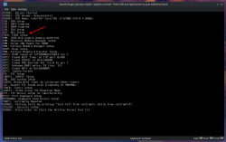 Part of the startup log of EvalynOS