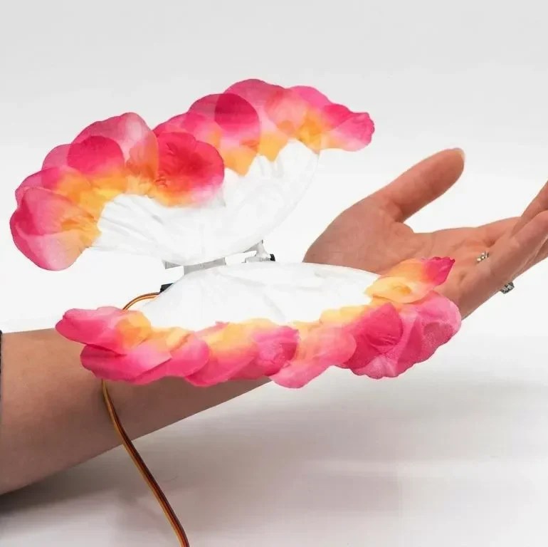 Create a Pulse-Synced Biofeedback Butterfly: A Step-by-Step Guide