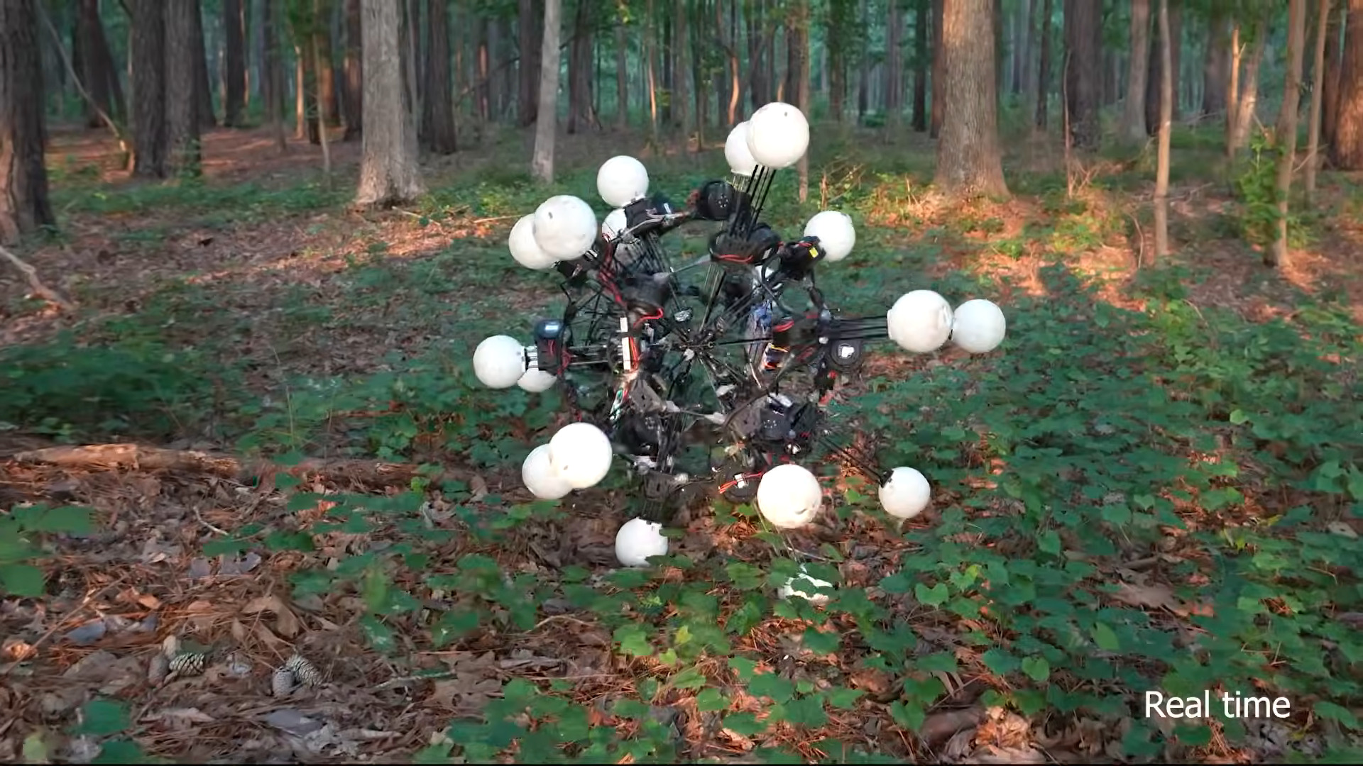 Classically-named Argus Robot Is Terminator Meets Tumbleweed
