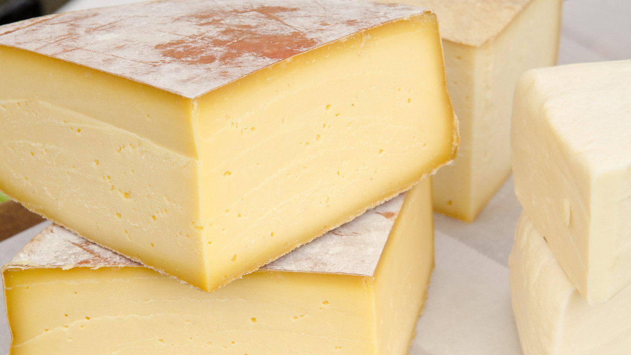 Know Your Food: Cheesemaking