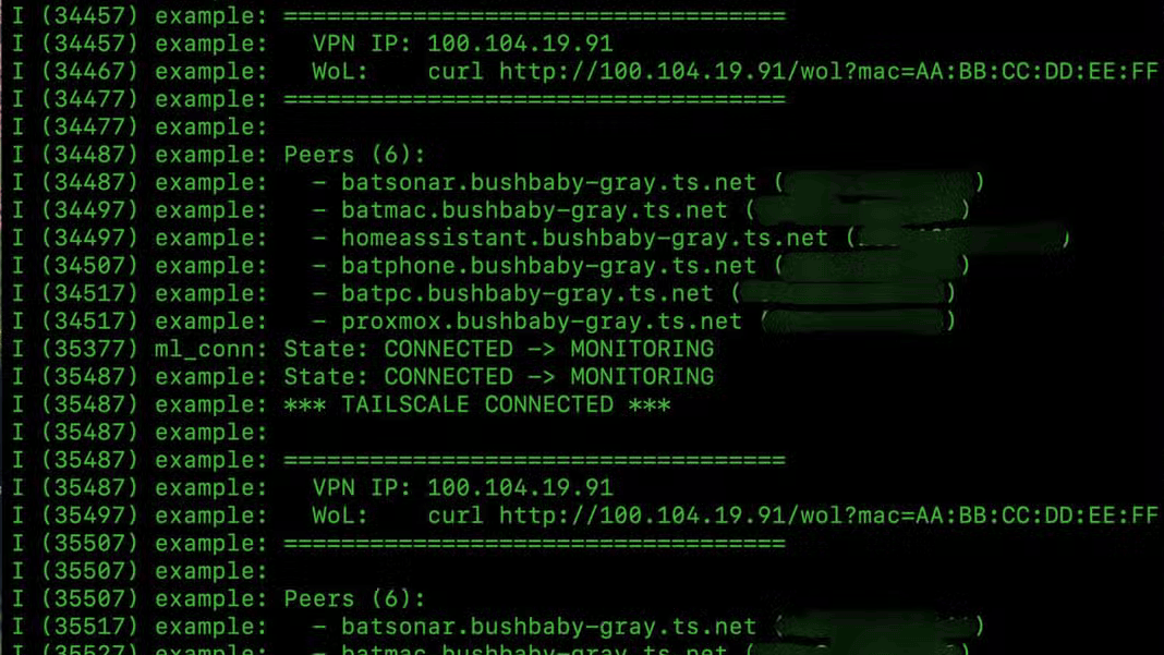 Running a VPN Gateway on an ESP32