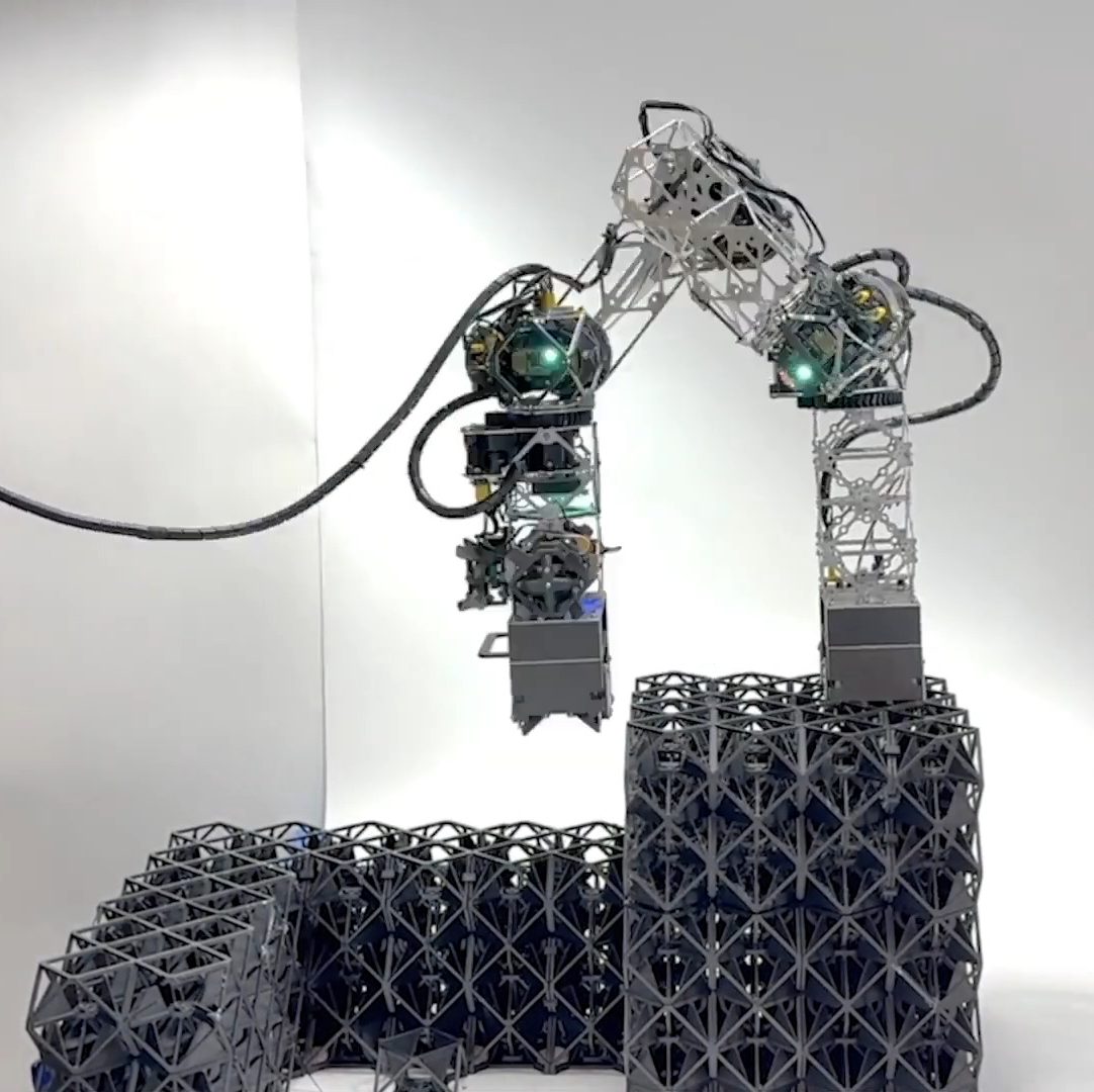 Could Your Next House be Built from Giant Lego By an Inchworm Robot