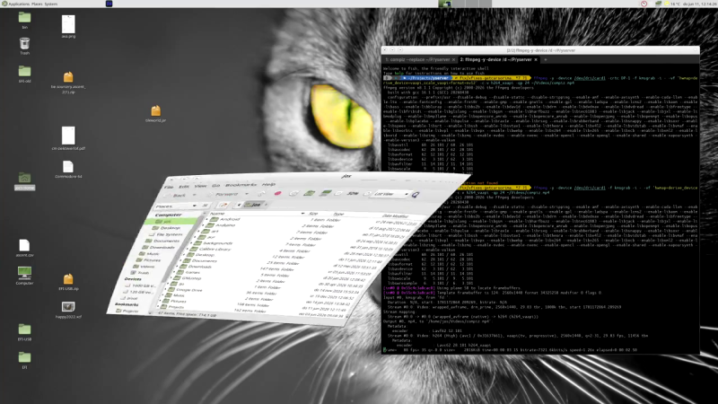 Why not yserver? It’s Xserver, but Rust-y.