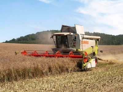 A green and white Claas combine harvester at work.