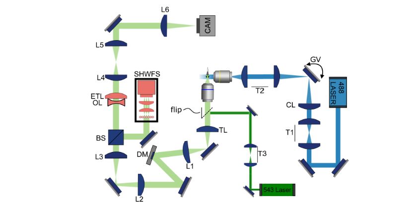 Fast Volumetric Imaging of Seizures with Adaptive Optics Light Sheet Microscopy