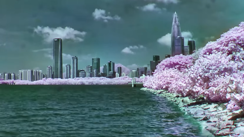 An image of skyscrapers over a bay is shown, with some foliage along the bank. The sky and water are a pale blue-grey, while the foliage is pink.