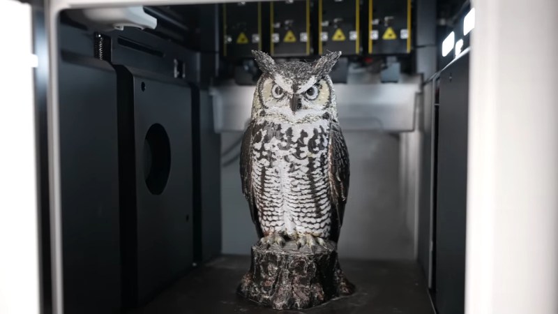 An owl printed with detailed color patterns