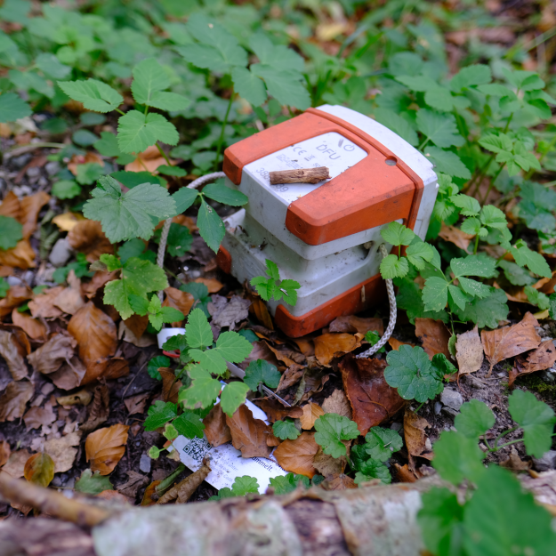 A geophone in its native habitat.