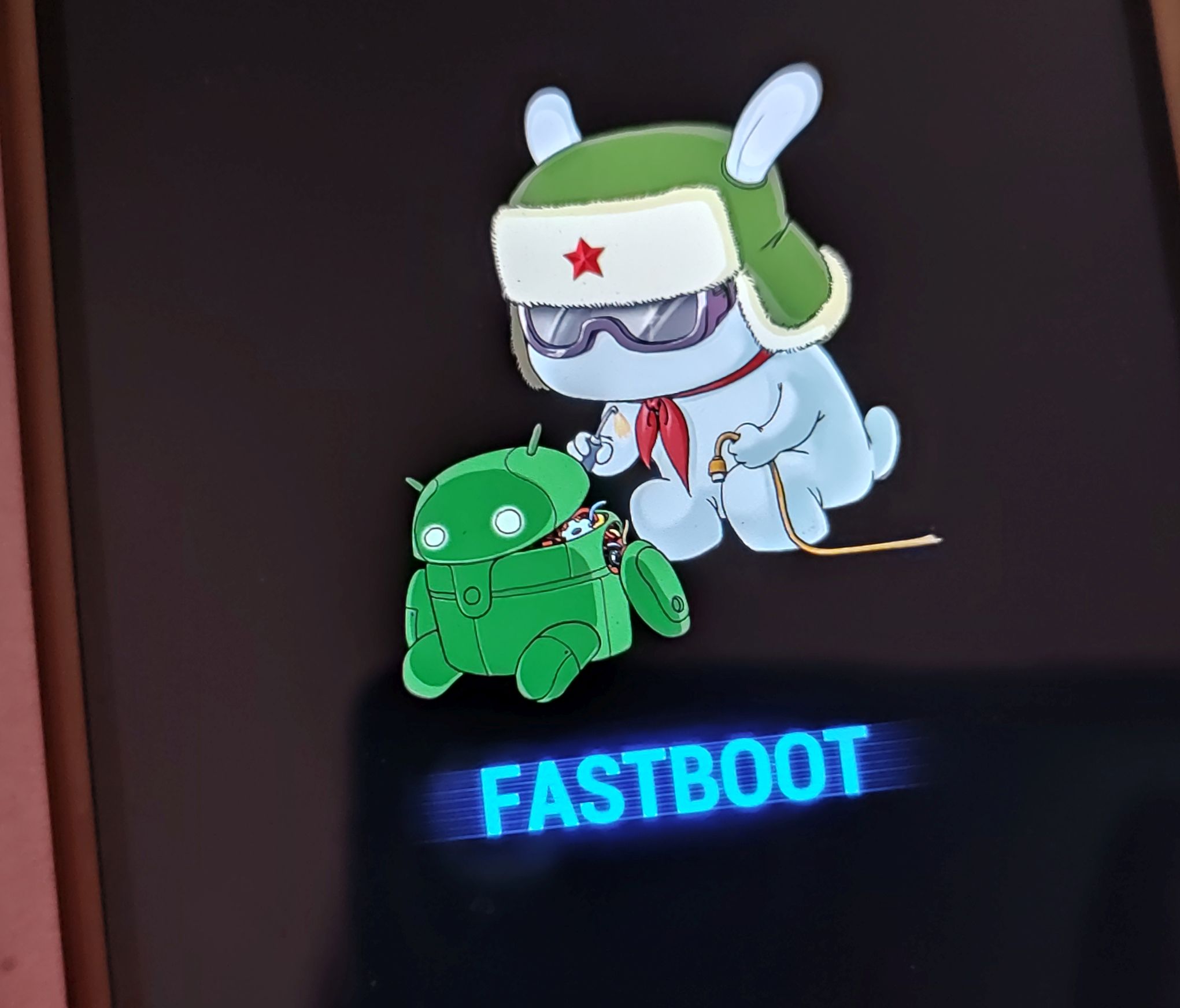 Welcome to the Xiaomi fastboot mode, comrade.