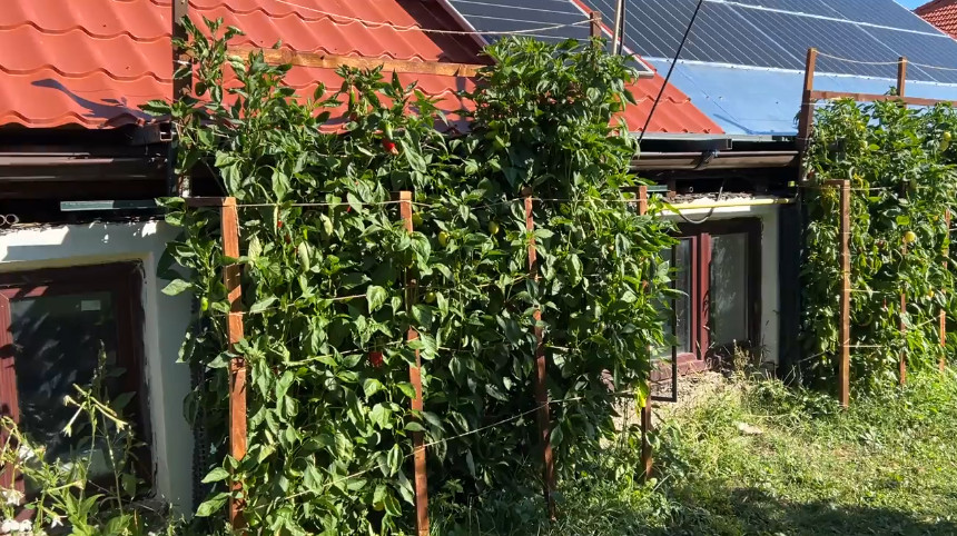 Gardening With OpenSCAD